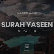 Mohammed Tareq Surah Yaseen