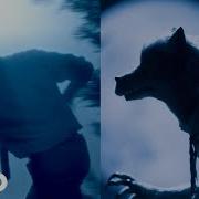 Beastars Opening Theme Wild Side