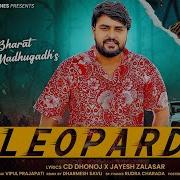 Leopard Music