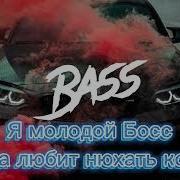 Я Молодой Босс Но Она Любит Нюхать Кокс