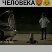 Делай Добро И Оно К Тебе Вернётся Собака
