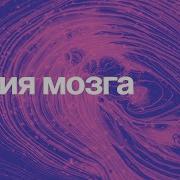 Химия Мозга