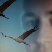 Вячеслав Хурсенко Осталось Несколько Шагов