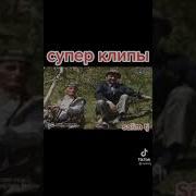 Гарибшо Сип Сиёхак Скачать