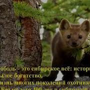 Тропа Бабьих Слез Аудиокнига