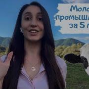 Молочная Промышленность За 5 Минут