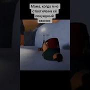 Пингвин Избивает Другого Пингвина