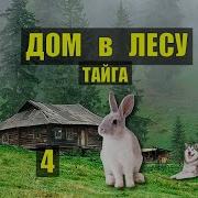 Золото Прииск В Тайге Дом В Лесу Охота Отшельник Книги Животные Истории Из Жизни Аудиокнига Сериал 4