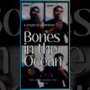 Акапела Bones