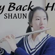 Flute Cover Way Back Home Shaun Jane Flute