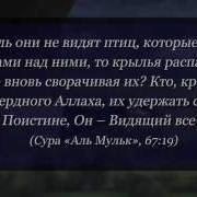 Басир Дураку 99 Имен Аллаха