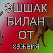 Эшшак Билан От Eshshak Bilan Ot Xajviy Masal