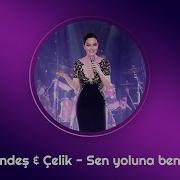 Celik Ebru Gundes Sen Yoluna Ben Yoluma Mp3