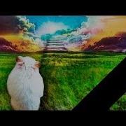 Прощаи Лаки R I P Прощальная Песня От Волшебных Питомцев