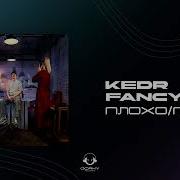 Плохо По Й Kedr Fancy Cat