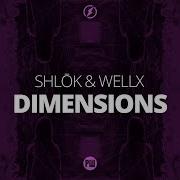 Dimensions Shlok Wellx