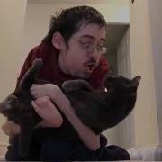 I Like Cats Ricky Berwick