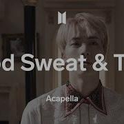 Blood Sweat Tears Acapella