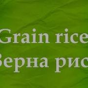 Asmr Асмр Звук Зерен Риса Звук Сыпучего Продукта The Sound Of Grains