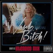 Britney Spears Work Bitch Remix