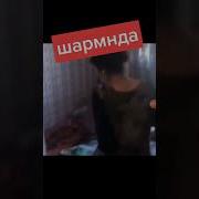 Зино 18 Духтари Малика Саидова Бо Писари Зафарча