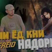 Freid Акли Ёд Кни Надори