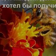 Дипак Чопра 9