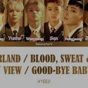 Ateez Wonderland Blood Sweat And Tears View And Goodbye Baby Mama Mashup