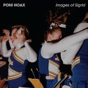 Antibodies Poni Hoax