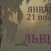 Львы Таро Прогноз На Неделю С 21 По 27 Января 2019Г