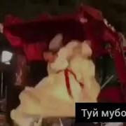 Туй Муборак 2019 Tuy Mubarak 2019