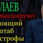 Все Ро Полочкам Реальная Цена