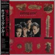 Cutting Crew I Just Died In Your Arms Hq Flac