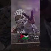 Foto Palestina Music