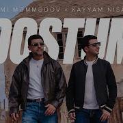 Dostum Mahnisi