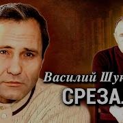 Шукшин Рассказы