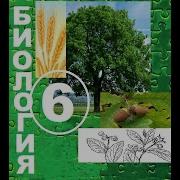 Биология 6 Класс Параграф 19 Пономарёва