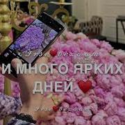 Мата Дала Декъал Йойл Хьо