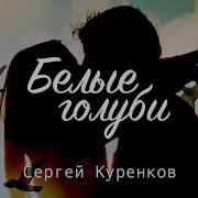 Белые Голуби Сергей Куренков