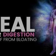 Digestion Sound