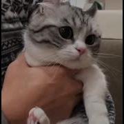 Ты Сын Ебаной Шлюхи Слушай Сюда
