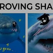 Meme Shark