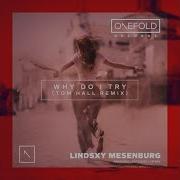 Lindsxy Mesendburg Why Do Try Tom Hall Remix