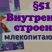 Биология Седьмой Класс Параграф 51 Внутреннее Строение Млекопитающих