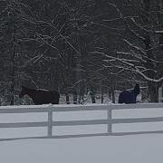 Winter Solstice Winter Morning