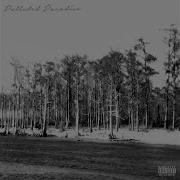 Uicideboy Polluted Paradise Feat Chetta