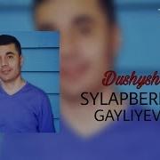 Sylapberdi Gayliyev Dushyshaly Сылапберди Гайлиев Душышалы