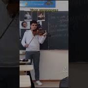 Инстасамка На Скрипке