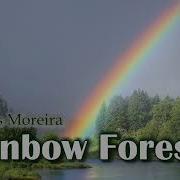 Rainbow Forest