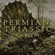 Permian Ambience